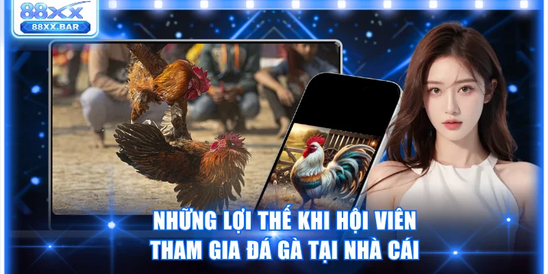 Những lợi thế khi hội viên tham gia đá gà tại nhà cái
